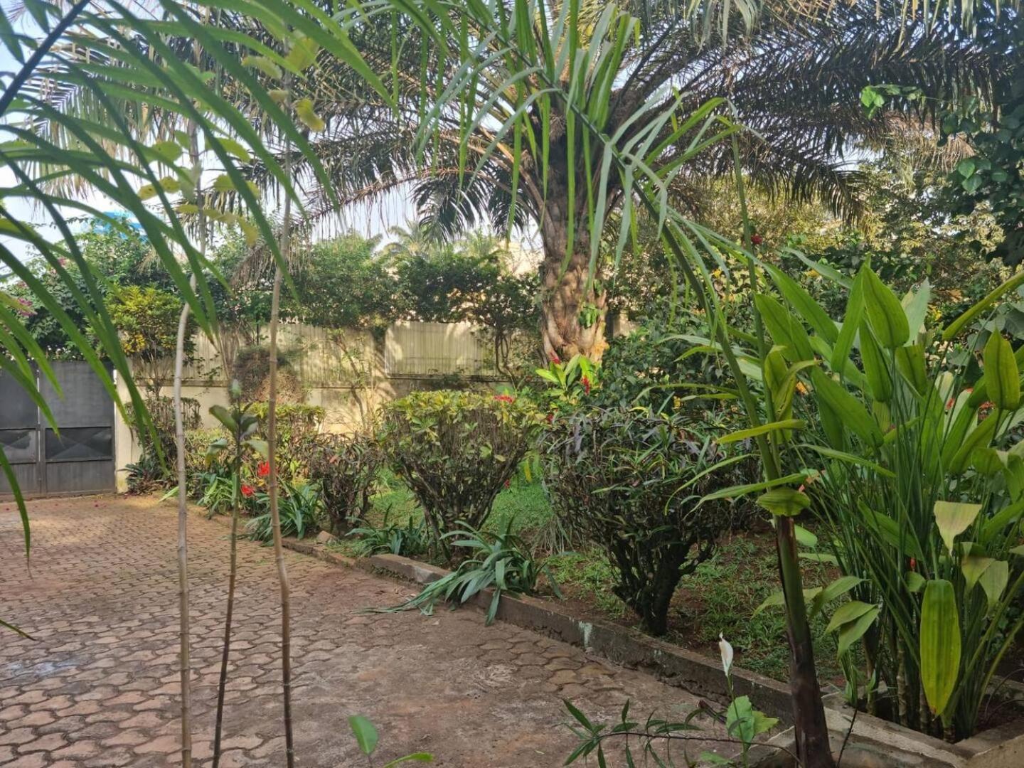 Tout Confort Avec Jardin Entree Bastos Yaoundé Exteriör bild