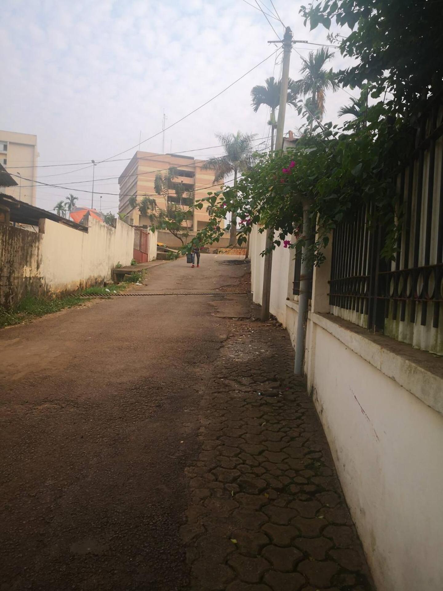 Tout Confort Avec Jardin Entree Bastos Yaoundé Exteriör bild